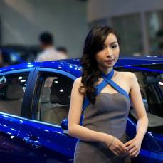SPG stand mobil IIMS 2014
